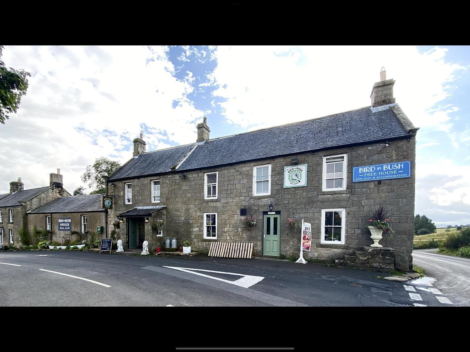 Bird In Bush Elsdon Hotel ภายนอก รูปภาพ